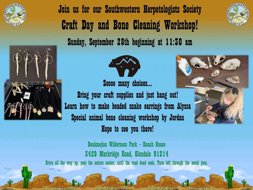 Join us for Craft Day! 9-28-25