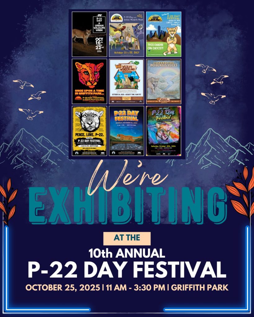 SWHS at P-22 Festival 10/25/25